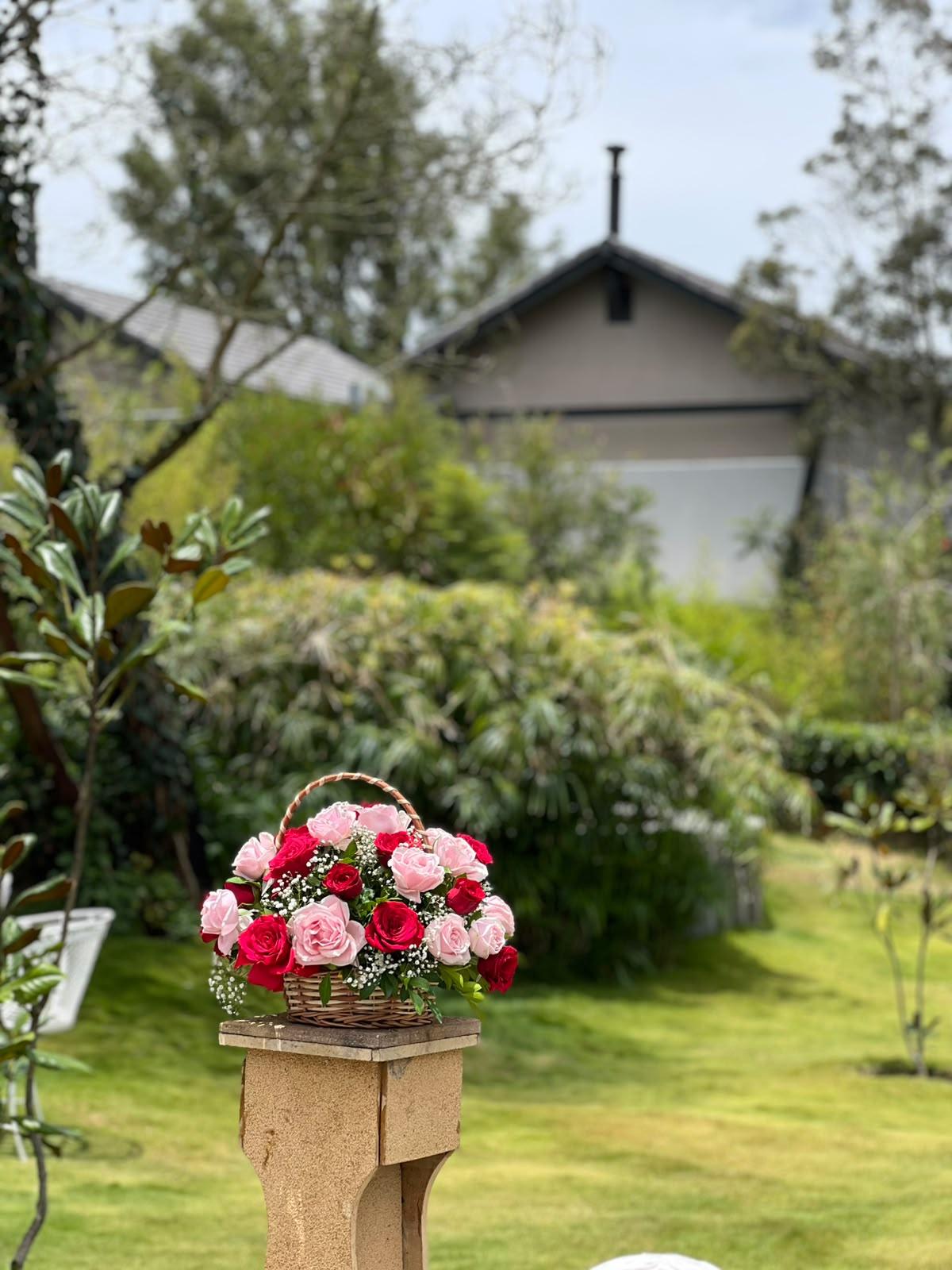 Wicker basket filled with two-tone blush pink and red roses on an Ooty estate lawn